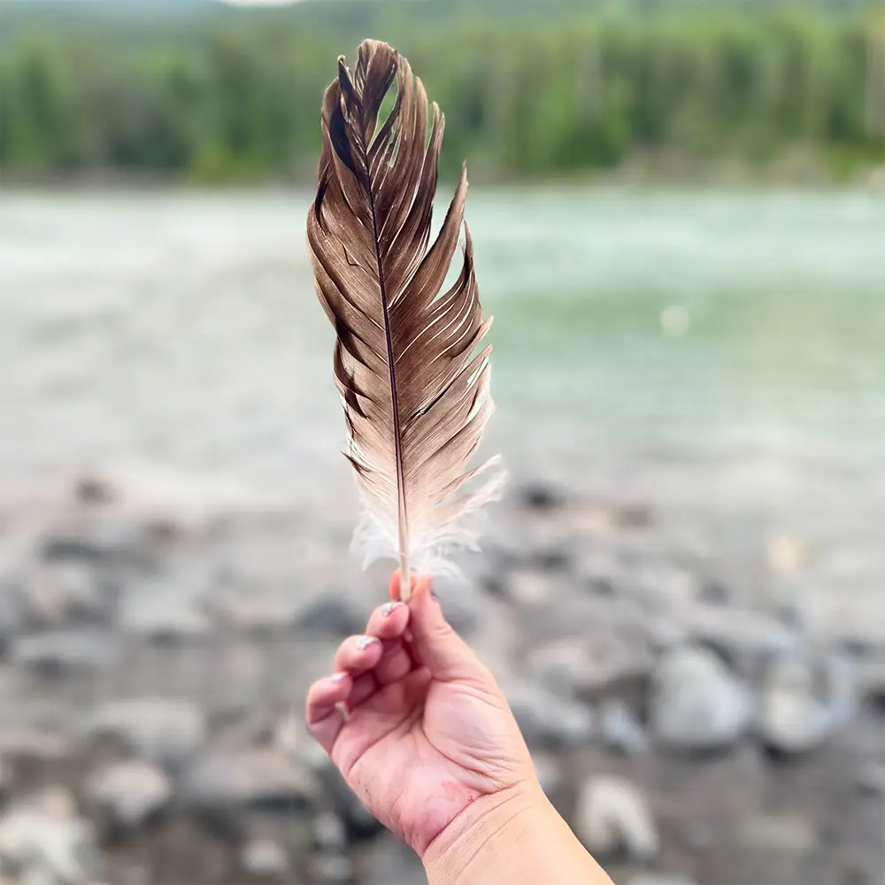 Hand holding a feather